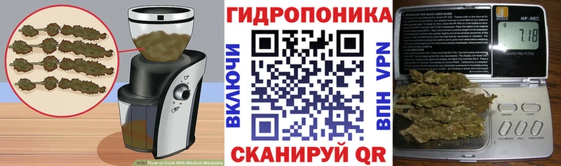 Canna-Cookies конопля  Купить  Мончегорск 